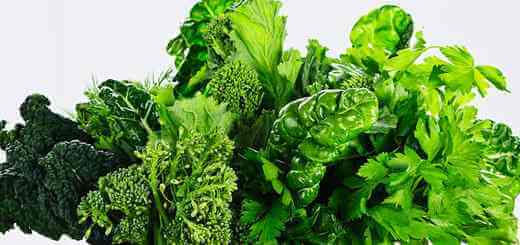 Assorted leafy green vegetable