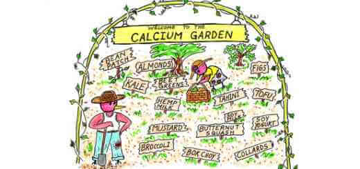 Calcium Vegan Garden