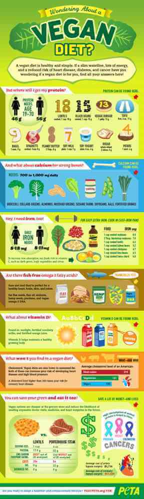 Vegan Health Infographic