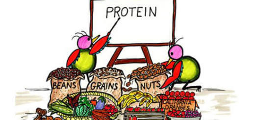 20 VeganPlant Sources for Protein